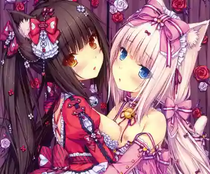 nekopara,